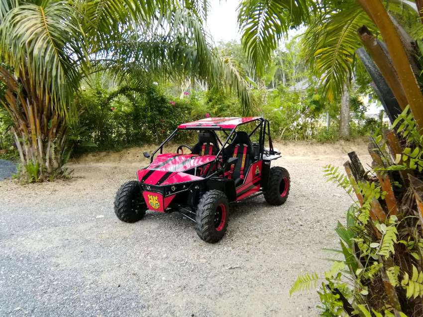 Buggy, FAST, FUN AND EASY to drive! 